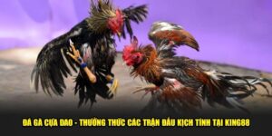 Da-Ga-Cua-Dao-Thuong-Thuc-Cac-Tran-Dau-Kich-Tinh-Tai-King88